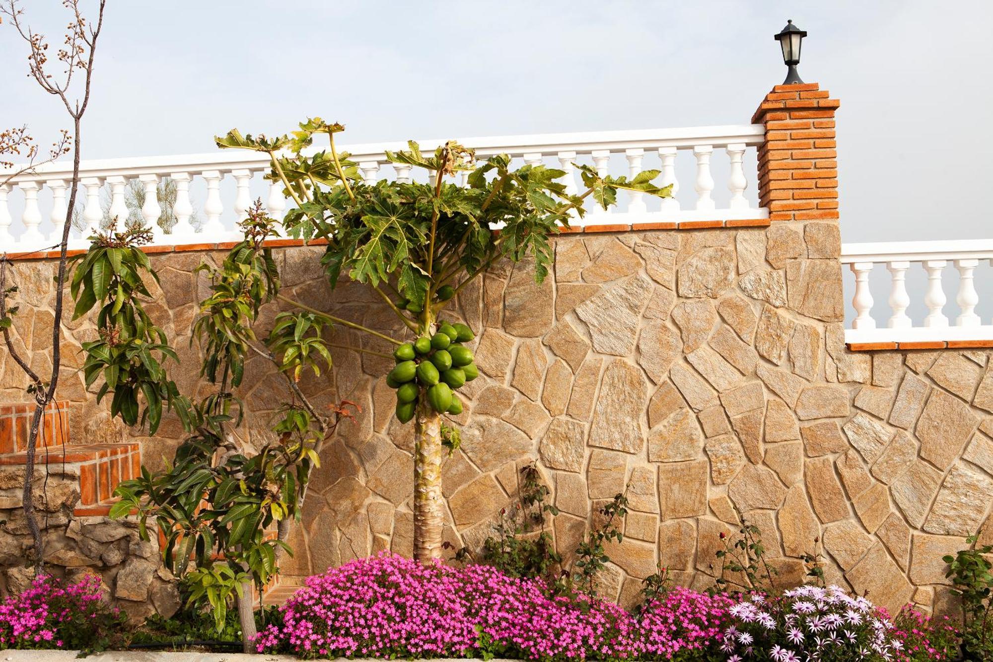 בנאחראפה Villa El Palomar Azul With Pool And Sea View מראה חיצוני תמונה